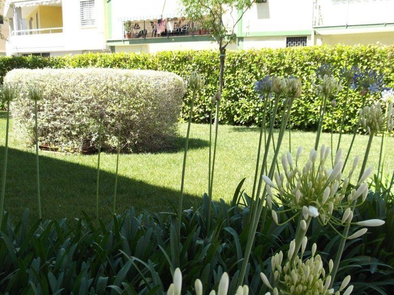 prato, siepi e cespugli curati