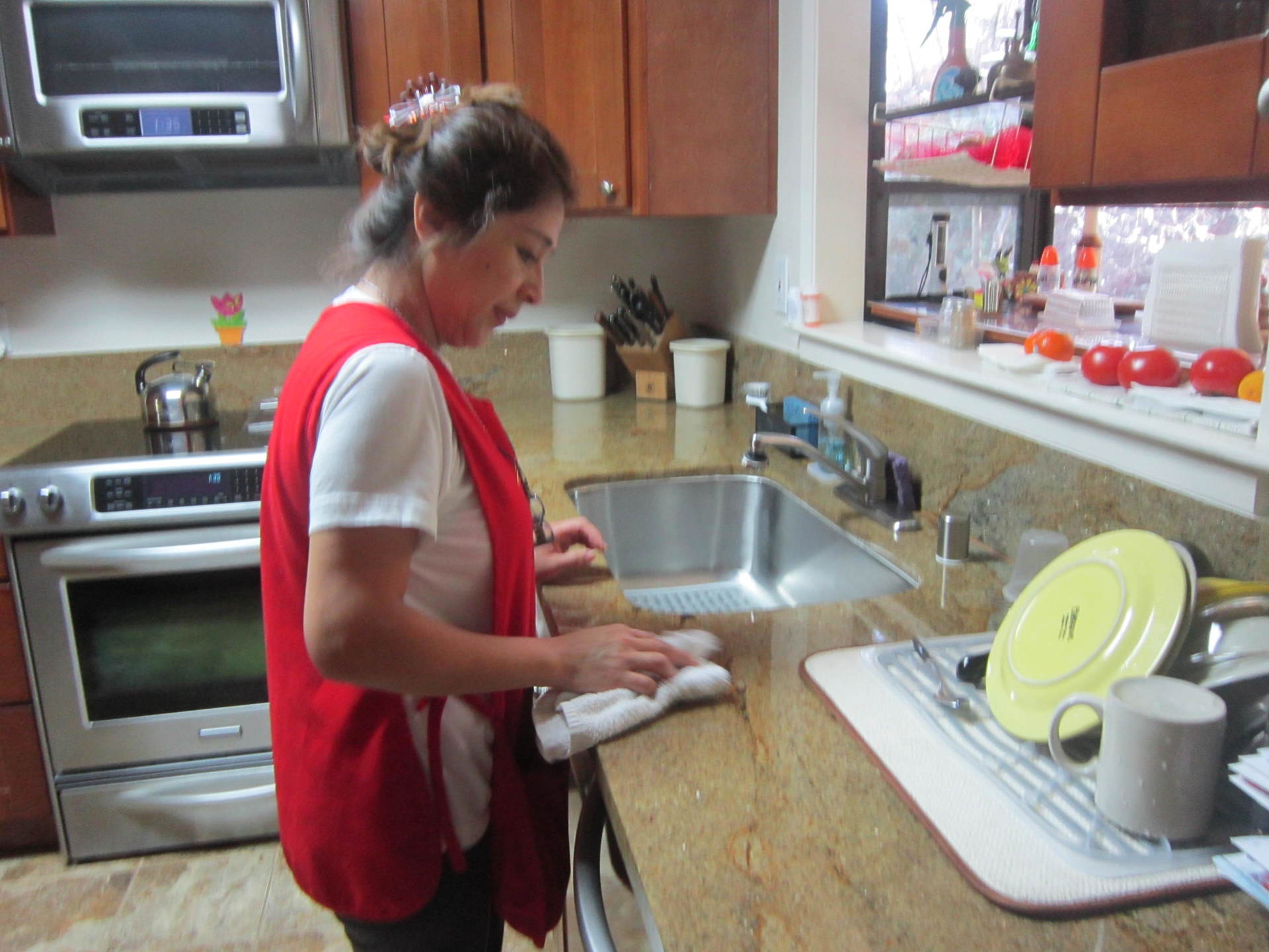Kitchen Cleaning 