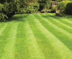 Mike's Equipment Repair Service in Westford MA