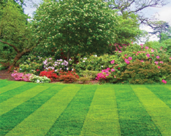 lawnmower repair service