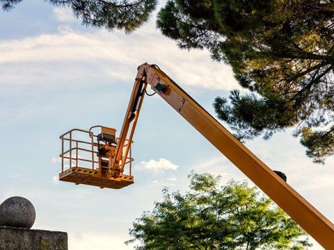 autogrù per potatura alberi