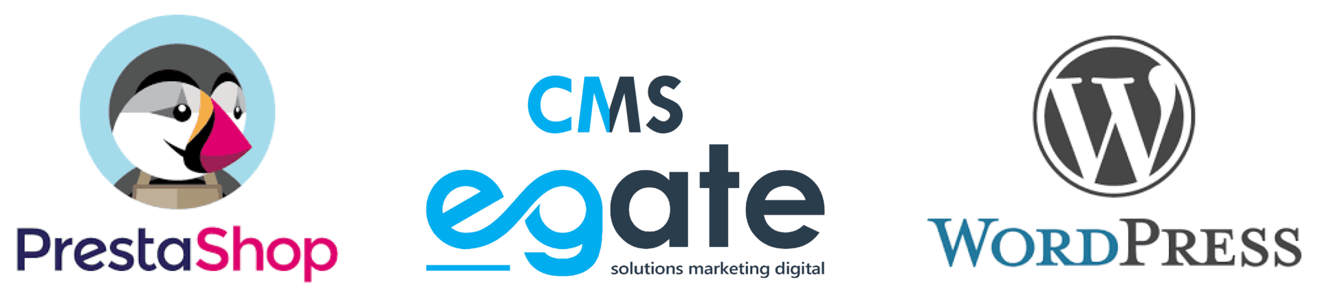 cms site internet