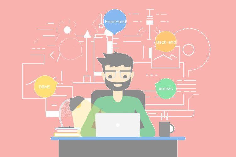 Full Stack Developers