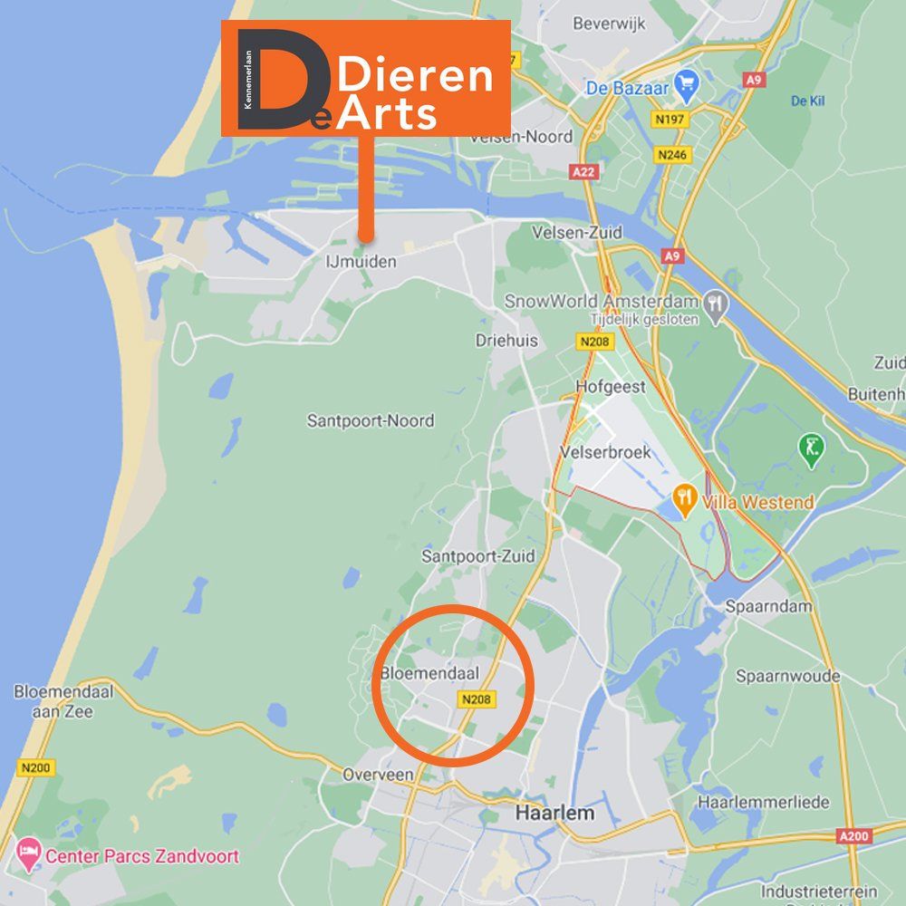 Dierenarts Bloemendaal