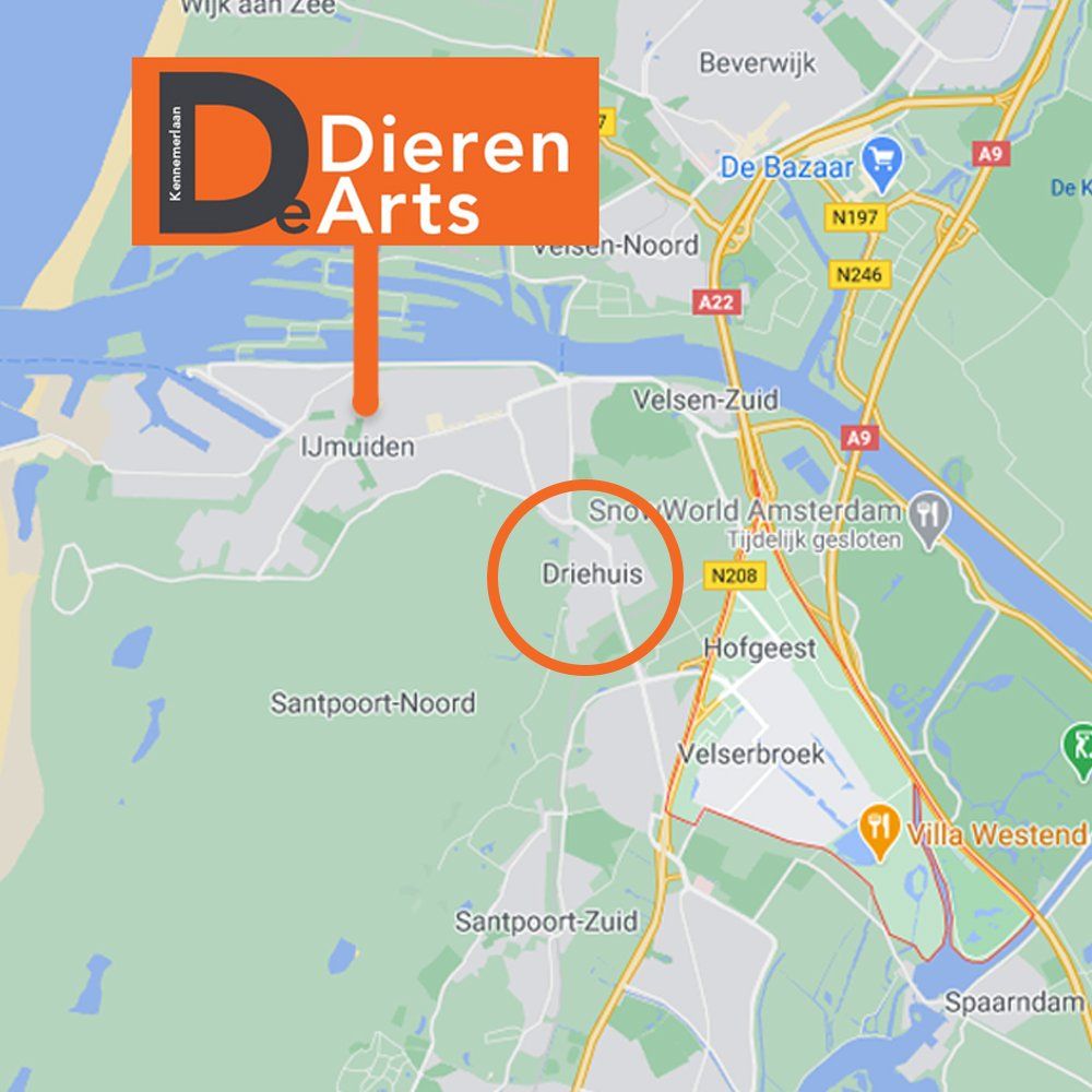 Dierenarts Driehuis