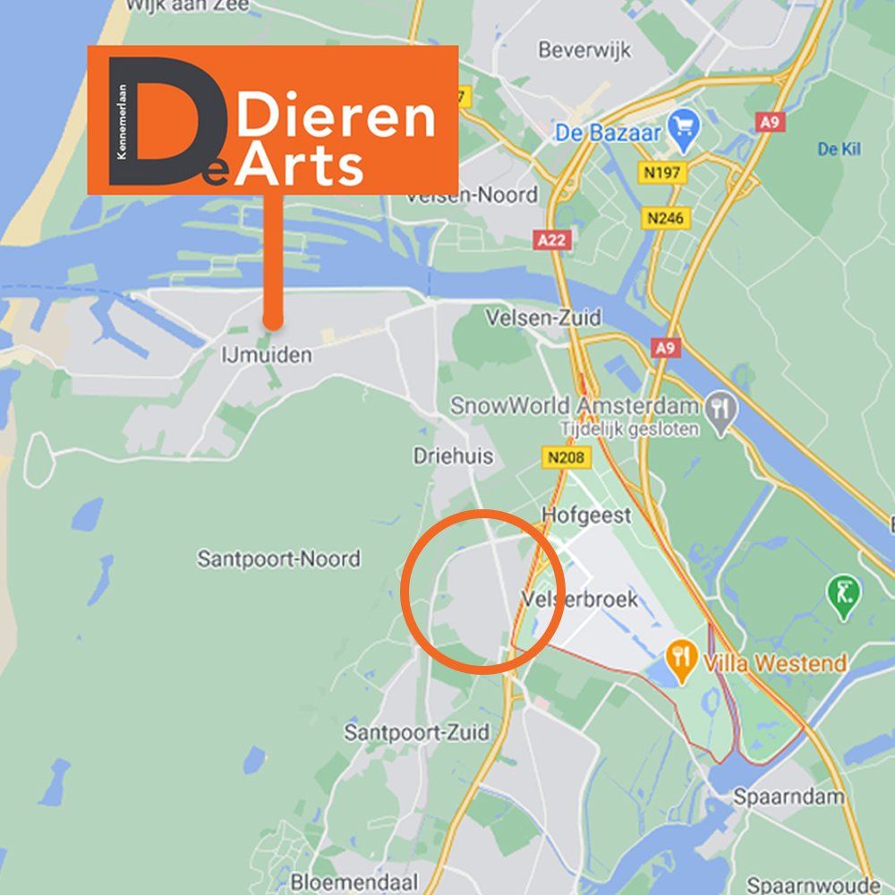 Dierenarts Santpoort Noord