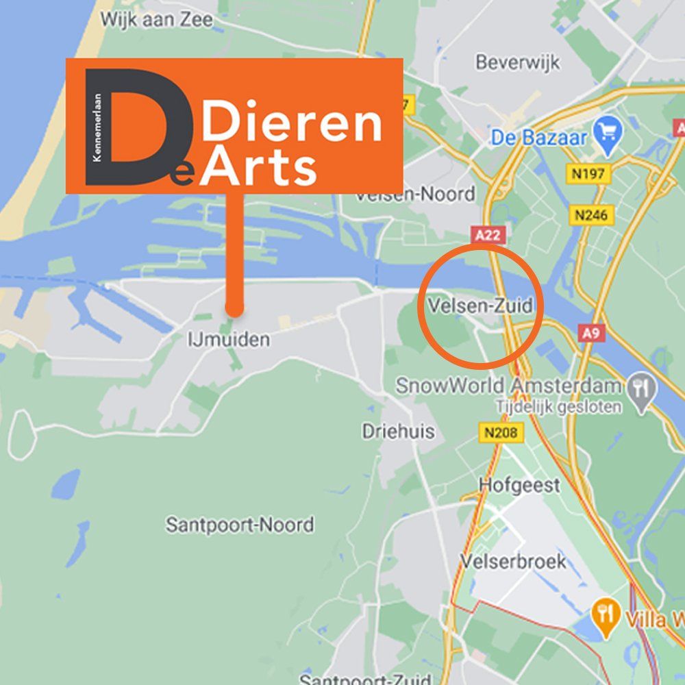 Dierenarts Velsen Zuid