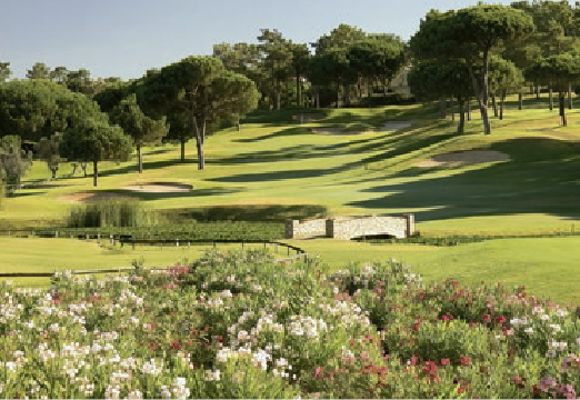 Pinheiros Altos Golf Course