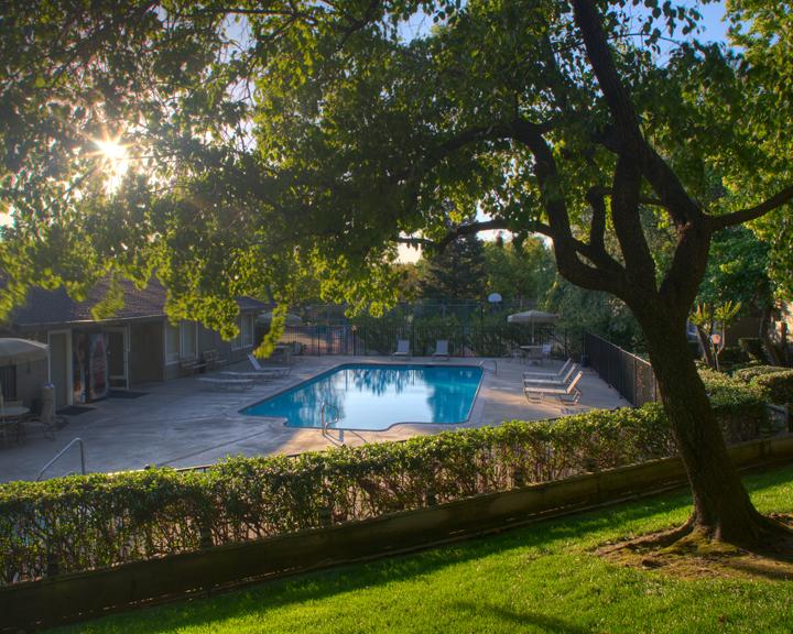 Summer Hills