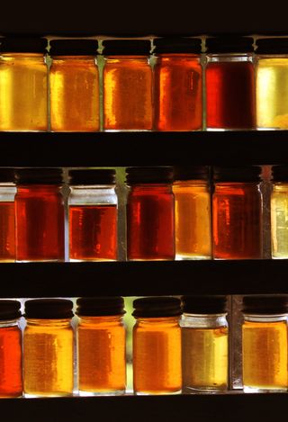 Organic VT Maple Syrup made in the Northeast Kingdom