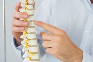 Close up of male doctors hand pointing at skeleton model — Chiropractic in Los Angeles, CA Close up of male doctors hand pointing at skeleton model — Chiropractic in Los Angeles, CA
