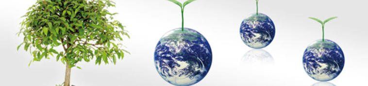 albero e tre mondi