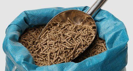 Livestock feed