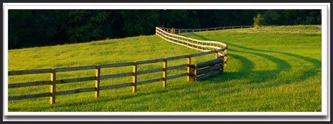 Wire netting