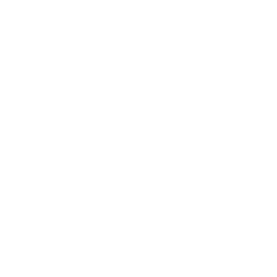 Icona – Videoispezione