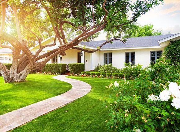 Green Grass Yard — Bay City, TX — Klepac Pest & Termite