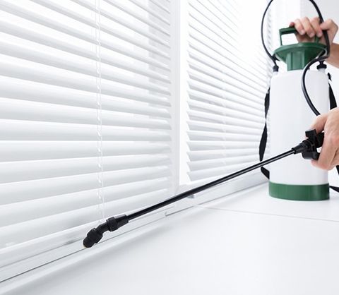 Spraying Insecticide — Bay City, TX — Klepac Pest & Termite