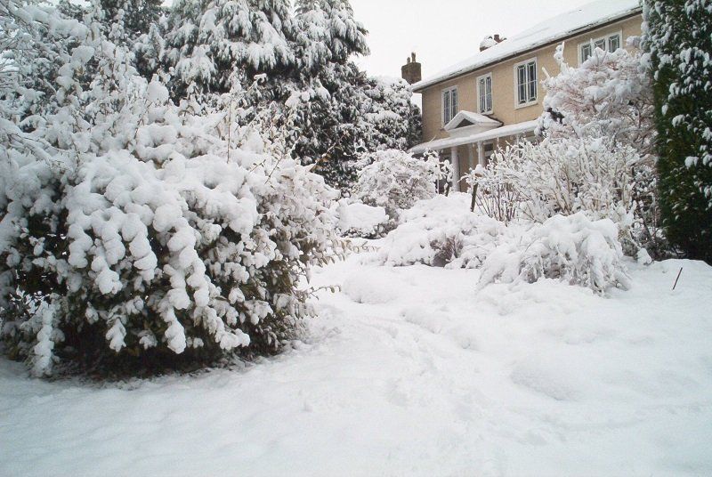 Orchard House Self Catering & Chew Valley.