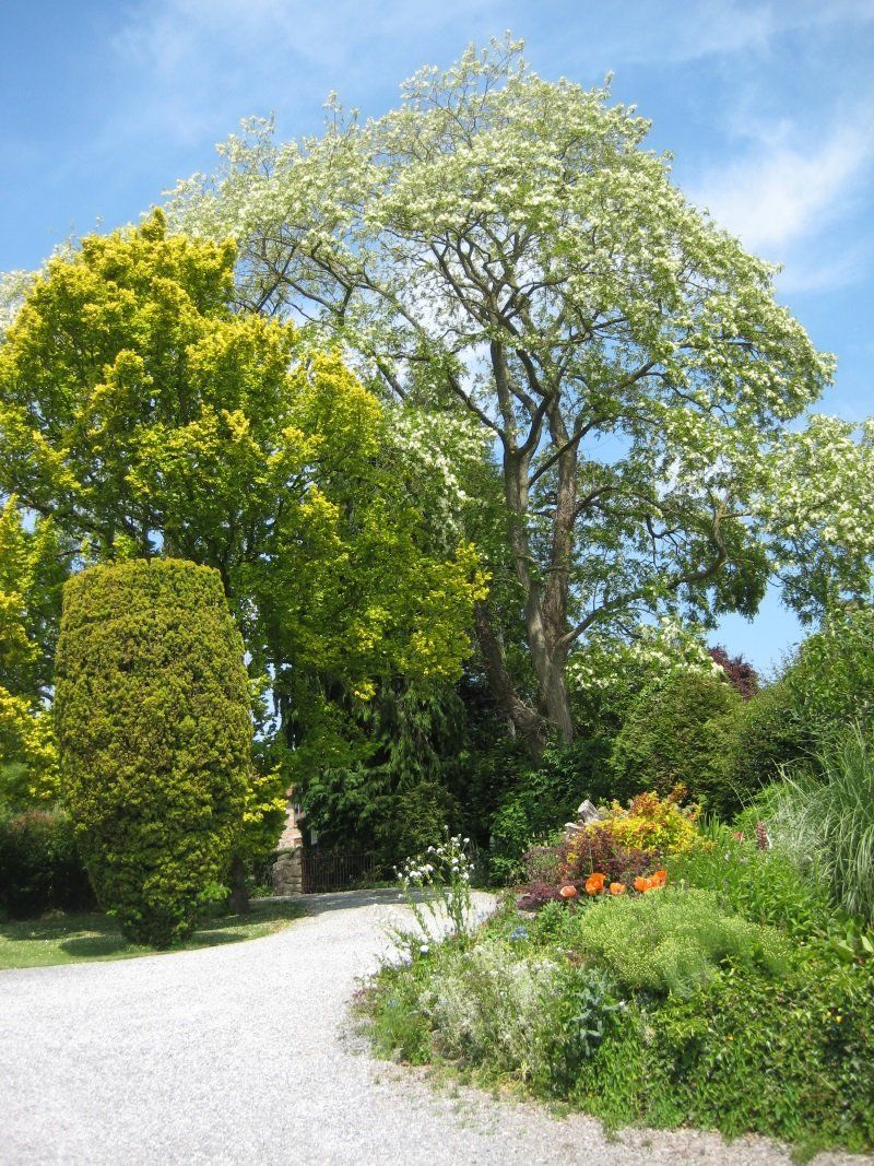 Orchard House Guest House Bristol & Chew Valley.