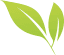 Company Logo Icon