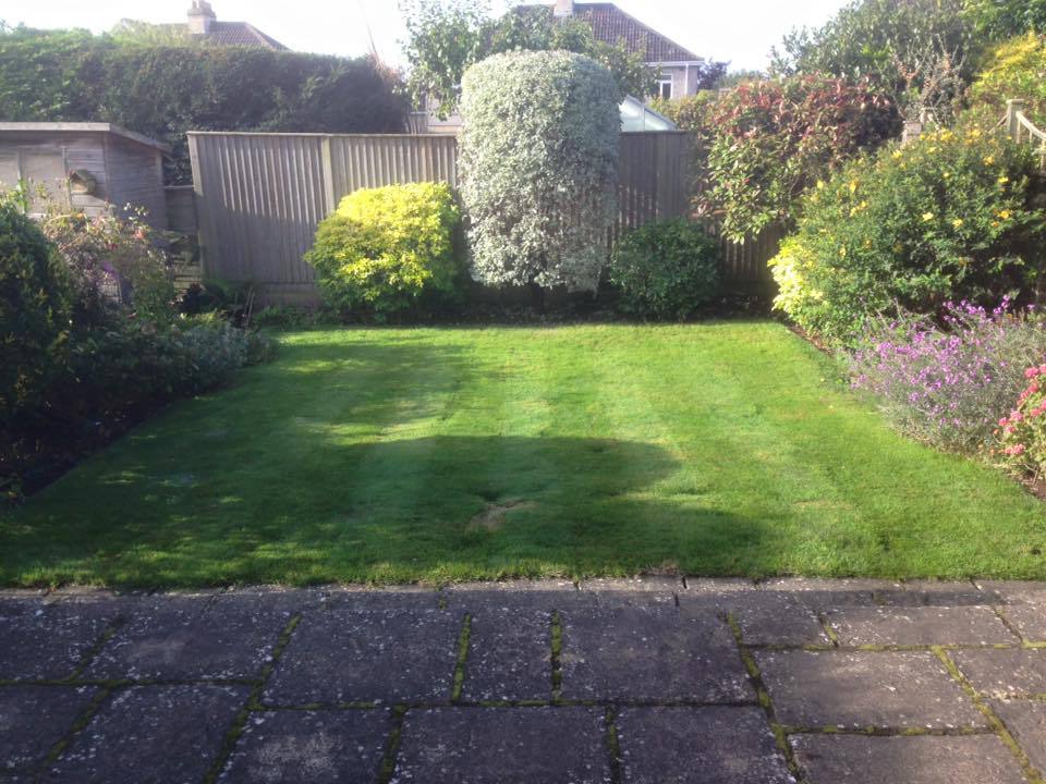 beautiful garden