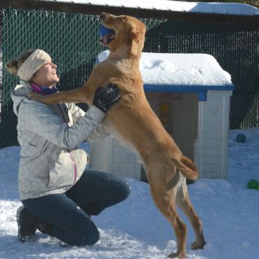Eagle Ridge Kennel