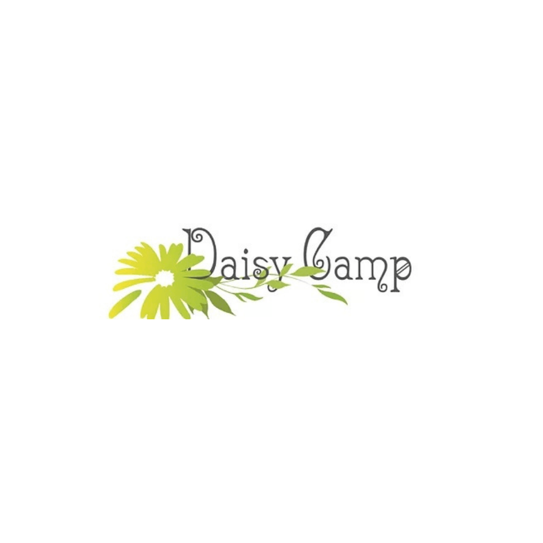 Daisy Camp is a Twin Cities based 501(c)(3) non-profit organization, founded in 2006 to provide camps and workshops to empower and educate women navigating the divorce process