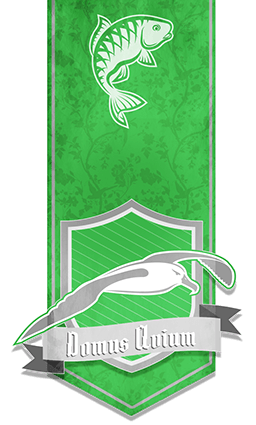 Domus Avium Banner