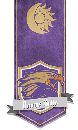 Domus Solis Banner