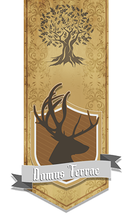Domus Terrae Banner