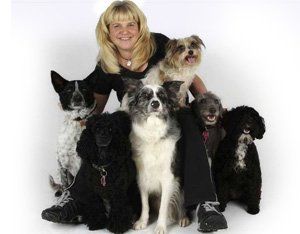 Dogs