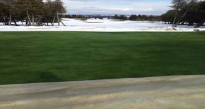 A large lawn with trees in the background and a snowy field in the background.