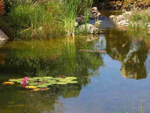 Protect the beauty of your pond with geomembrane pond liner from Cover-Tech Inc.