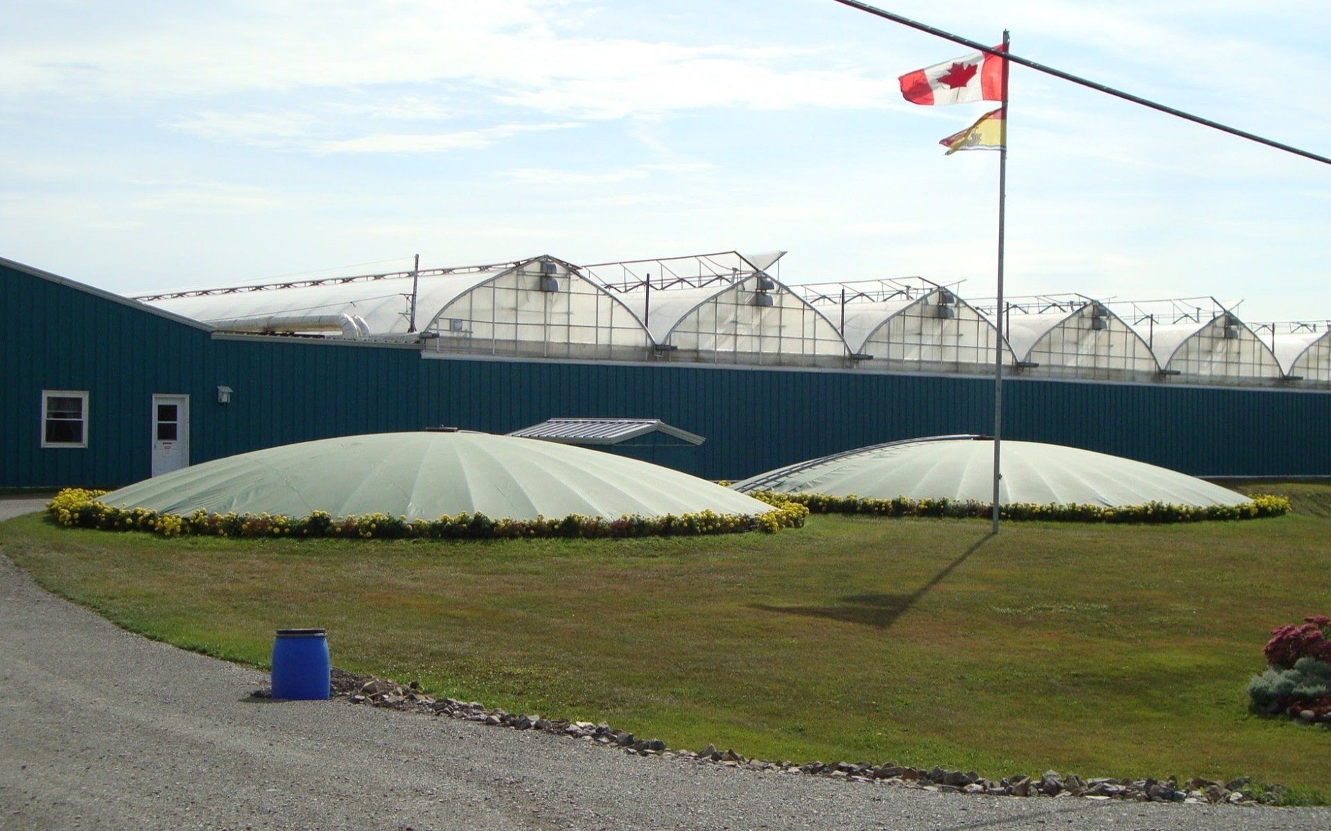 Greenhouse complex with three small covered structures, Canadian flag, and green grass. Cover-Tech Pond Liners/Tank Liners.