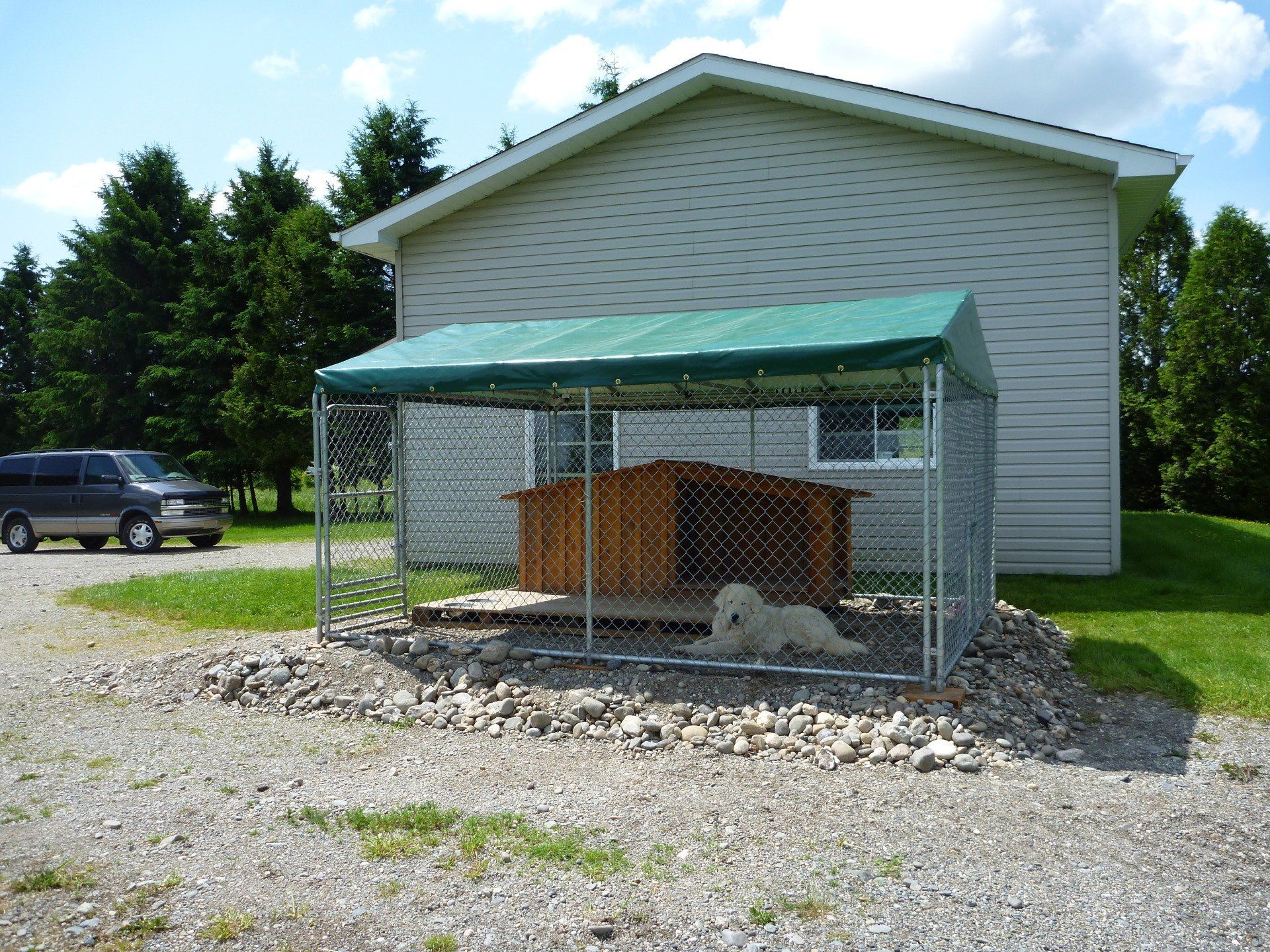 A dog is laying under a green canopy in front of a house
