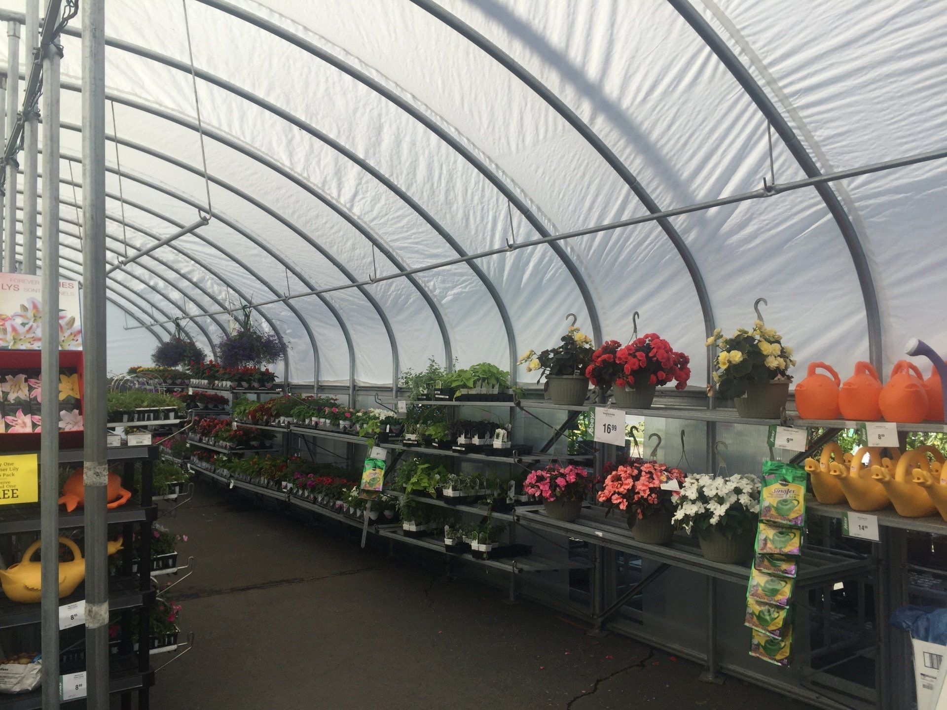 A greenhouse filled with lots of plants and pumpkins.