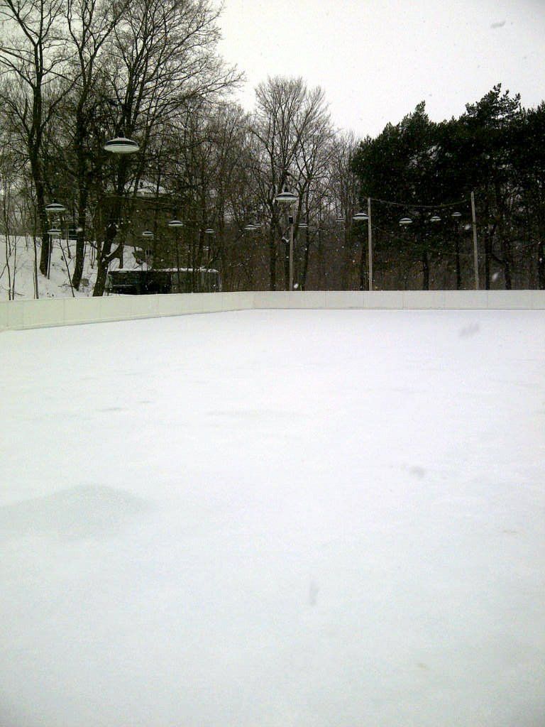 A snowy field with trees in the background