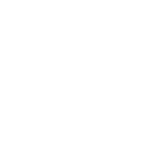 fan icon