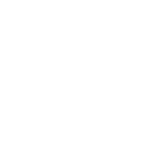 snow flake