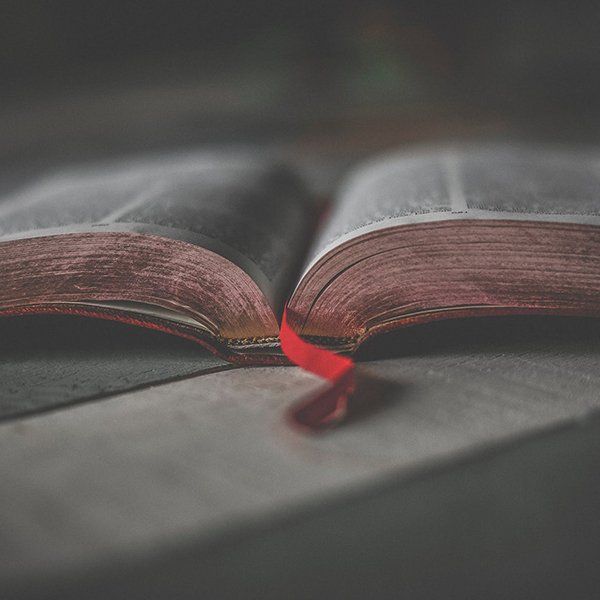 Bible