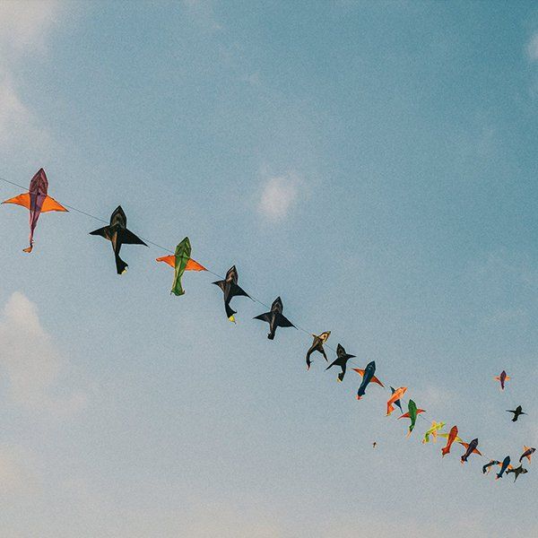 Kite in the Sky