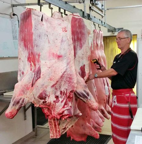 des barritt in cool room butcher with hanging meats in cool room