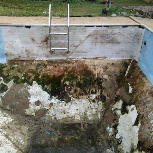 Empty, algae-covered swimming pool with a metal ladder. Walls are dirty. Outdoors, daytime.