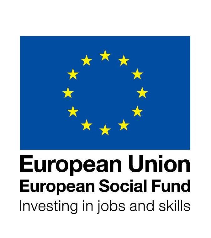 European Union European social funds