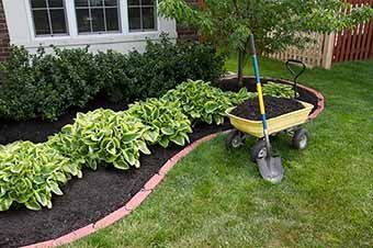 Mulching around the Bushes - Lawn Care in Waynesboro PA