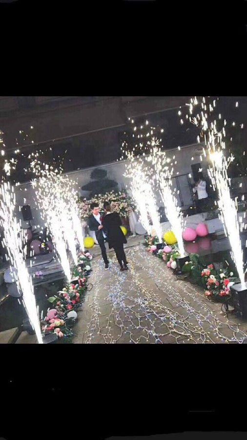 Persone che camminano lungo una navata scintillante, circondate da fiori e fuochi d'artificio.