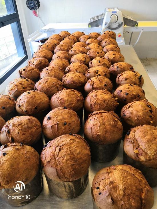 panettoni