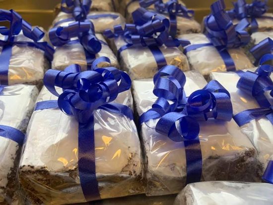 panettoni artigianali