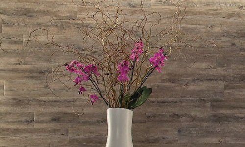 Doccia bianco con orchidee e rami ricci