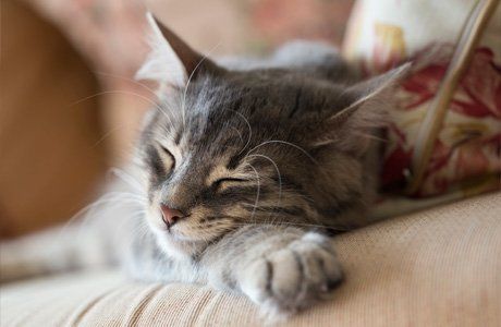 Complete comfort